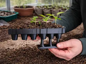 Seed Starting Series: Plug Popper Set