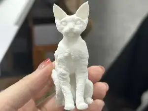 德文卷毛猫