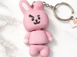 COOKY BTS FLEXI AMS and NO AMS