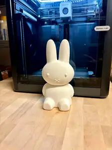 Miffy Piggy Bank