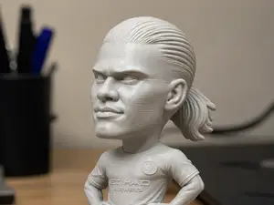 Haaland Bobble 3D