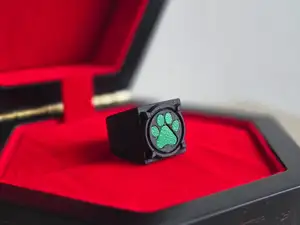 Cat Noir Ring Miraculous