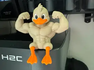 Muscular Duck