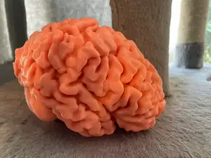 3D printable full-sized brain