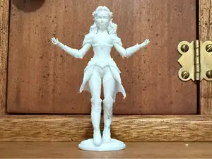 Female Elven Mage Warrior