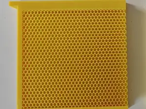 PANAL ZANGANO LANGSTROTH