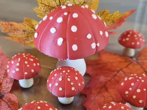 Champignons d’Automne Amanites Magiques