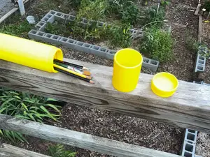 Paint brush, pencil and water cup transporter
