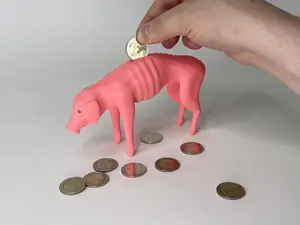 Crisis Piggy Bank
