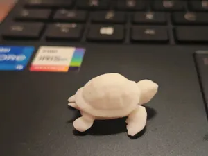 Mini tartaruga low poly