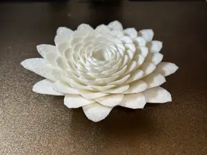 Camellia flower