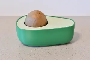 AVOCADO SEED SPROUTER