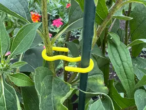 Plant Support Clip