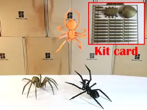 Araignée articulée - Kit card - Animaux