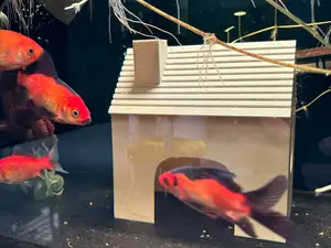 鱼缸摆件房子模型Fish tank decoration house model