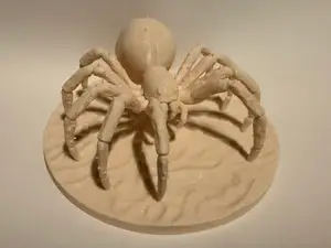 giant spider in the Dungeons and Dragons game DND