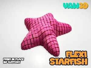 Flexi Starfish Fidget