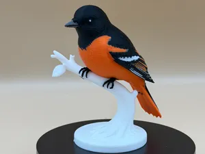 Emberwing Baltimore Oriole