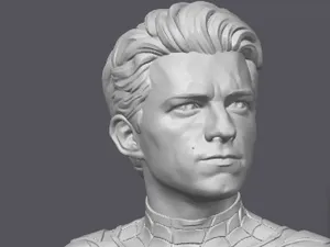THE AMAZING SPIDERMAN