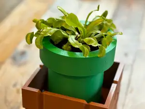 Mario Warp Pipe Venus Fly Trap Planter