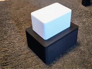 Big Ribbed Box (2 sizes)