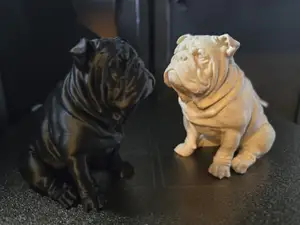 Cute English Bulldog - Sitting Pose - Only 20 gram