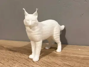Lynx - Animal - Decor