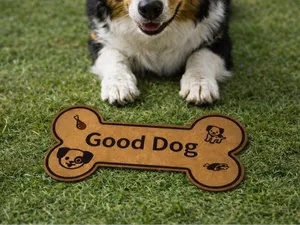 Good Dod