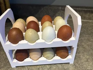 12 EGG STACKABLE STORAGE EGG TRAY RACK