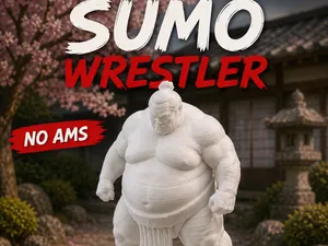 Sumo Wrestler