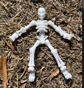 Skeleton