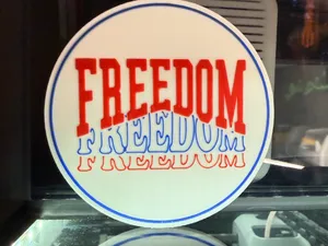 USA FREEDOM COASTER 