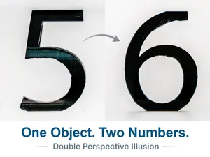 Number 56 Optical Illusion (10-99 available)