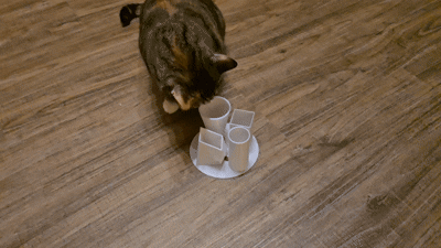 Katzen-Leckerli-Spielzeug