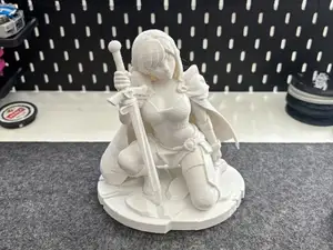 Knight Paladin Waifu | Holy Sword Warrior Girl