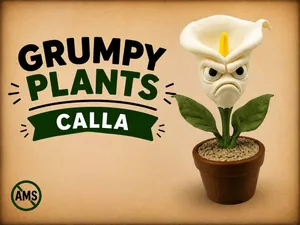 Grumpy Calla