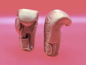 Muay Thai gloves