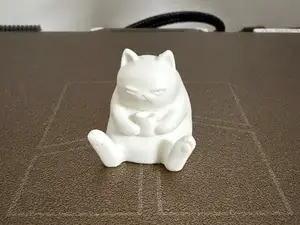 Cute chubby morning cat