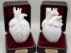 Realistic Hearts