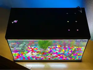 Aquarium lid