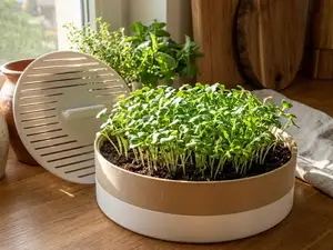 Modular Kitchen Microgreens Planter