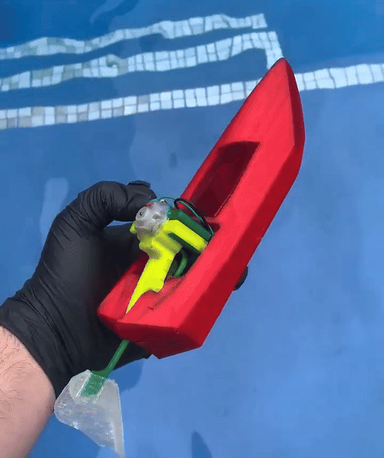 TailBlazer- Electric Fish/Boat Hybrid