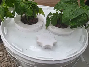 Kratky style pots with holders