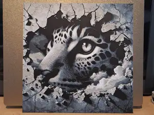 Peeking leopard - 4 colour hueforge