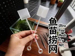 《鱼苗捞网》超细网孔＜1mm | 捞鱼苗、虾苗的一把好网 | 一体免支撑