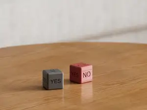 YES OR NO DICE