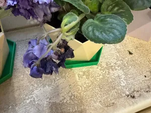 Hexagonal Flowerpot base