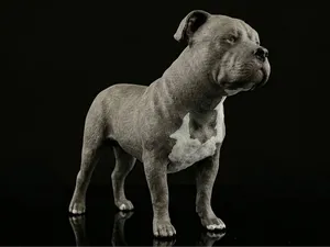 American Staffordshire Terrier (Painted Miniature)