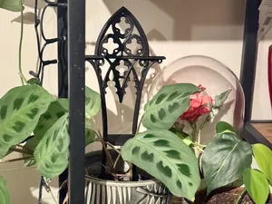 Plant trellis, support, Ghotic theme new ver.