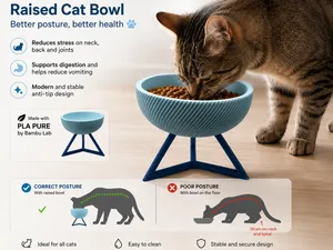 Raised Cat Bowl